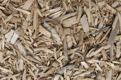 biomass boilers Catslackburn