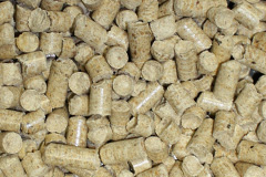 Catslackburn biomass boiler costs
